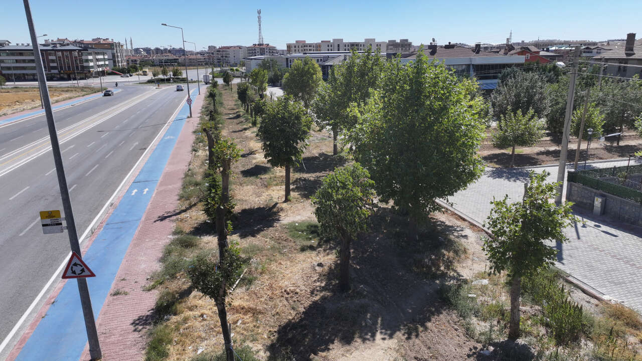 Konya’da tramvay çalışması nedeniyle kaldırılan ağaçların akıbeti belli oldu 9